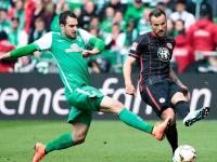 开云官网-勒沃库森球员状态低迷，需重新振作